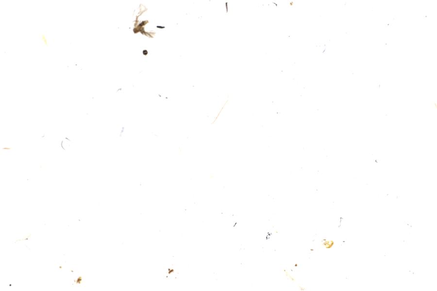 Image 67